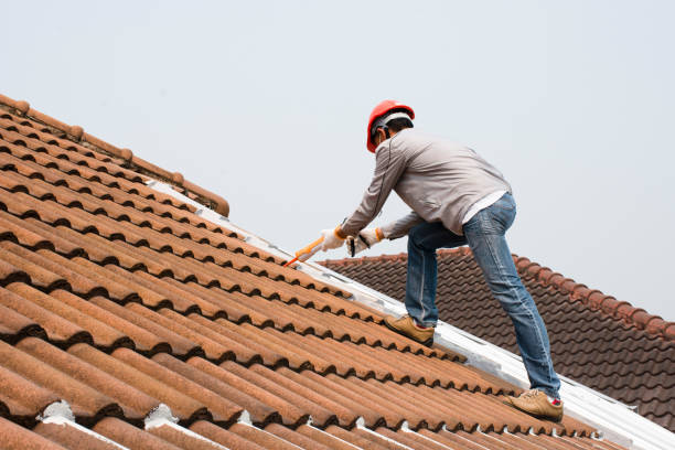 Best Wood Shake Roofing  in North Augusta, SC