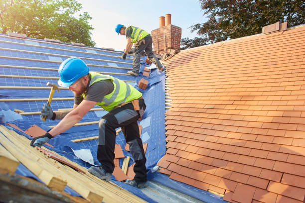 Best Solar Panel Roofing Installation  in North Augusta, SC